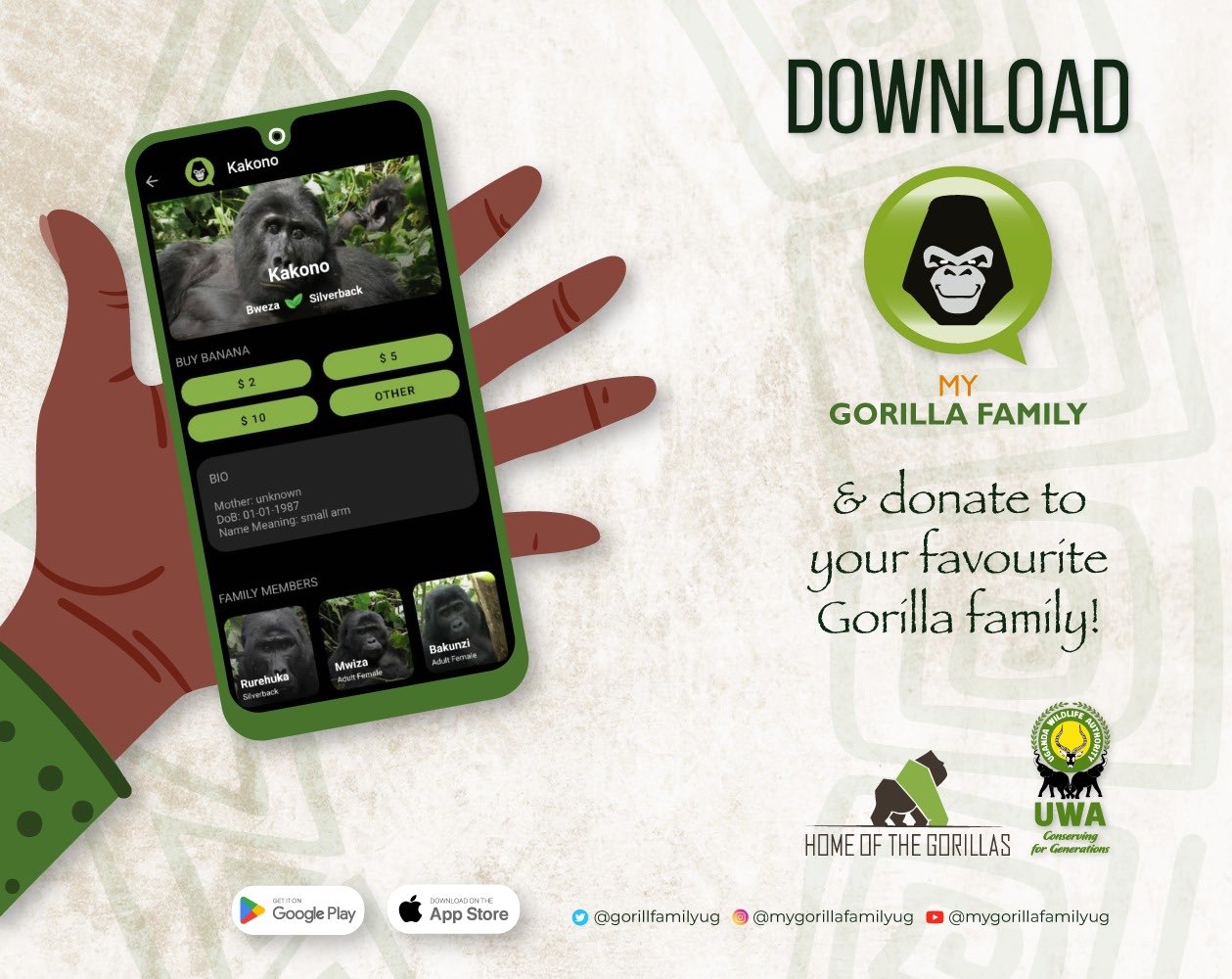uwa-leverages-technology-to-conserve-mountain-gorillas-in-uganda